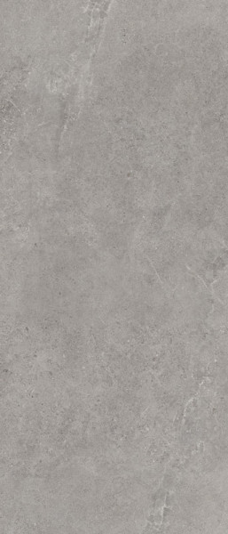 Feinsteinzeug Bodenfliese Authority Grey MATT 1200x600 mm