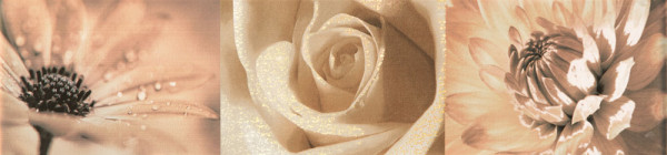 Maxima Brown 2 Wandbordüre 448x100 mm